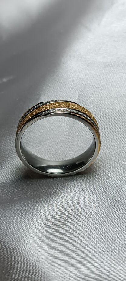 Stainless steel ring (CODE: 586)