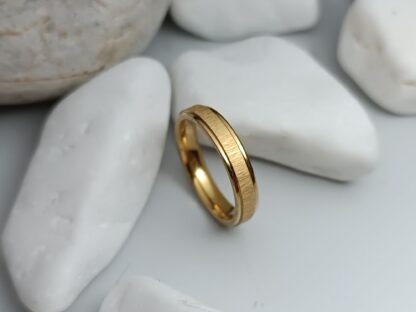 RING FROM STEEL IN GOLD (CODE: 108)