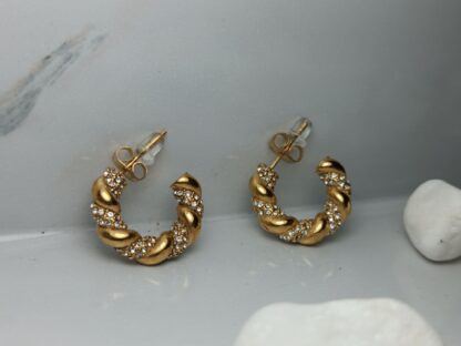 Steel earrings (Code:0298)