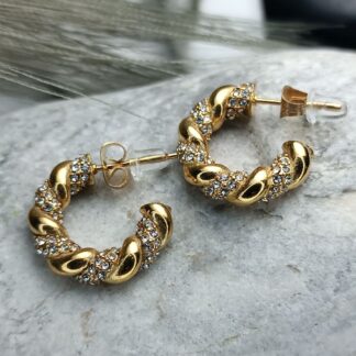 Steel earrings (CODE:04593)