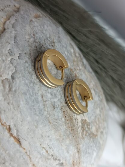 Steel earrings (CODE:00456)