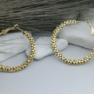 Steel earrings (CODE: 005511)