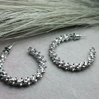 Steel Hoop Earrings (CODE:10)